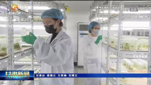 兰州新区 构筑 产才融合 生态圈 为高质量发展注入新动能