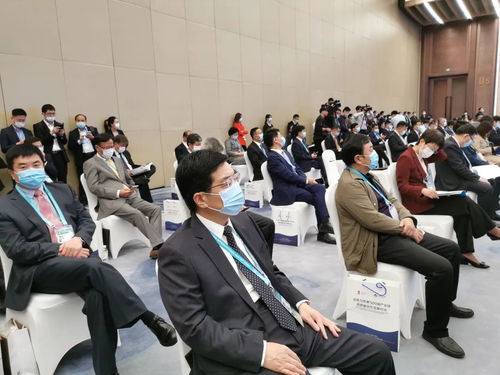 硕果累累 陈平市长率团赴上海参加进博会并招商引资