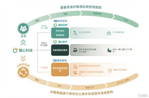 打造医疗健康行业标杆,圆心科技三层飞轮共推成长