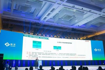 【新品发布】电站与制造并行,林洋重磅发布多款N型单晶双面组件_科技_网